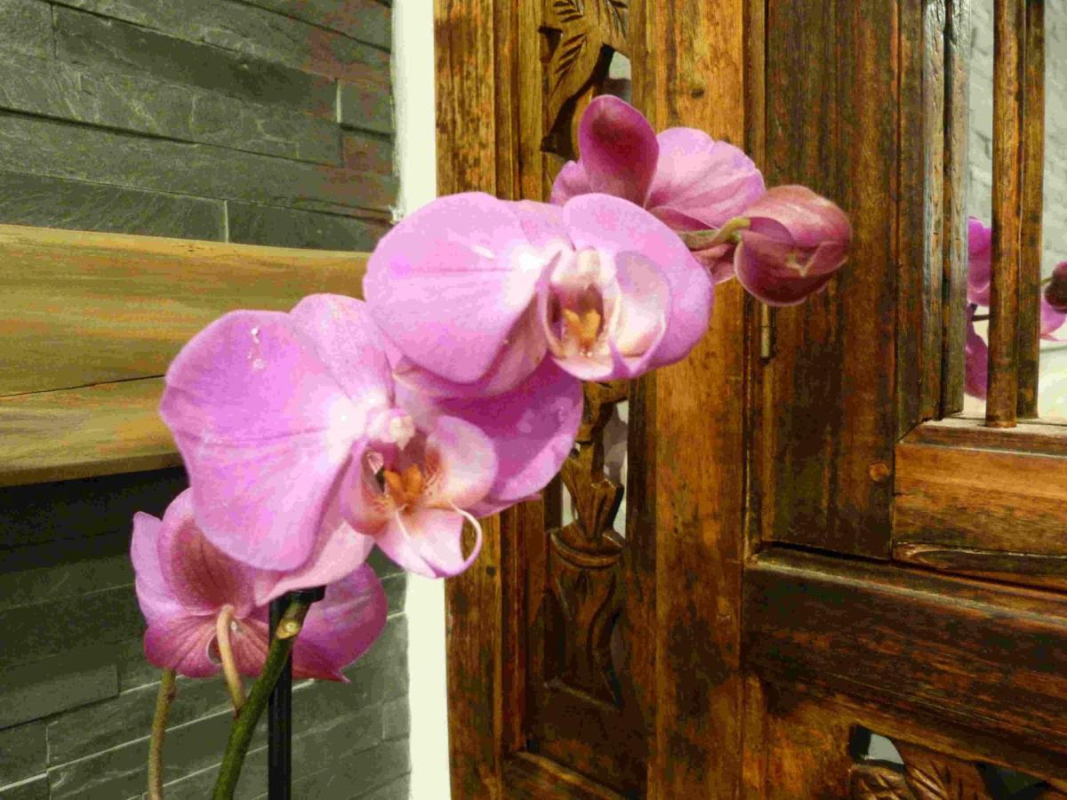 Les Bambous B&B Levens Luaran gambar
